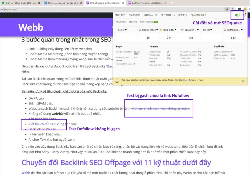 Dofollow và Nofollow - Khám Phá Hai Chìa Khóa Quyết Định Thứ Hạng Website Trên Google