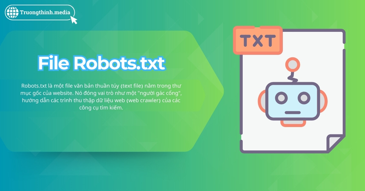 File robots.txt là gì - Bí quyết quản lý hiệu quả trang web của bạn