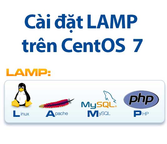 LAMP là gì - Một hướng dẫn toàn diện về công nghệ web phổ biến