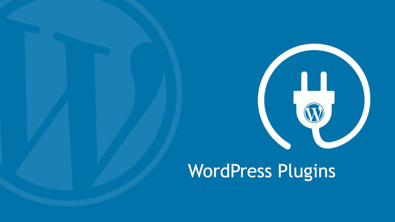 WP-CLI là gì Bí Kíp Thống Trị WordPress Từ Dòng Lệnh